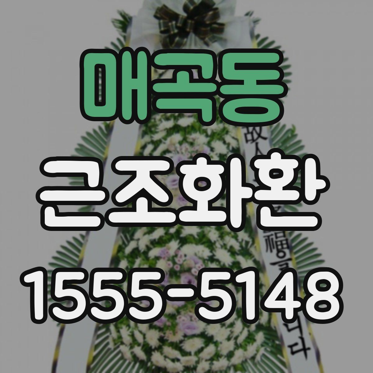매곡동 근조화환 보내는 상황별 예절과 준비 순서