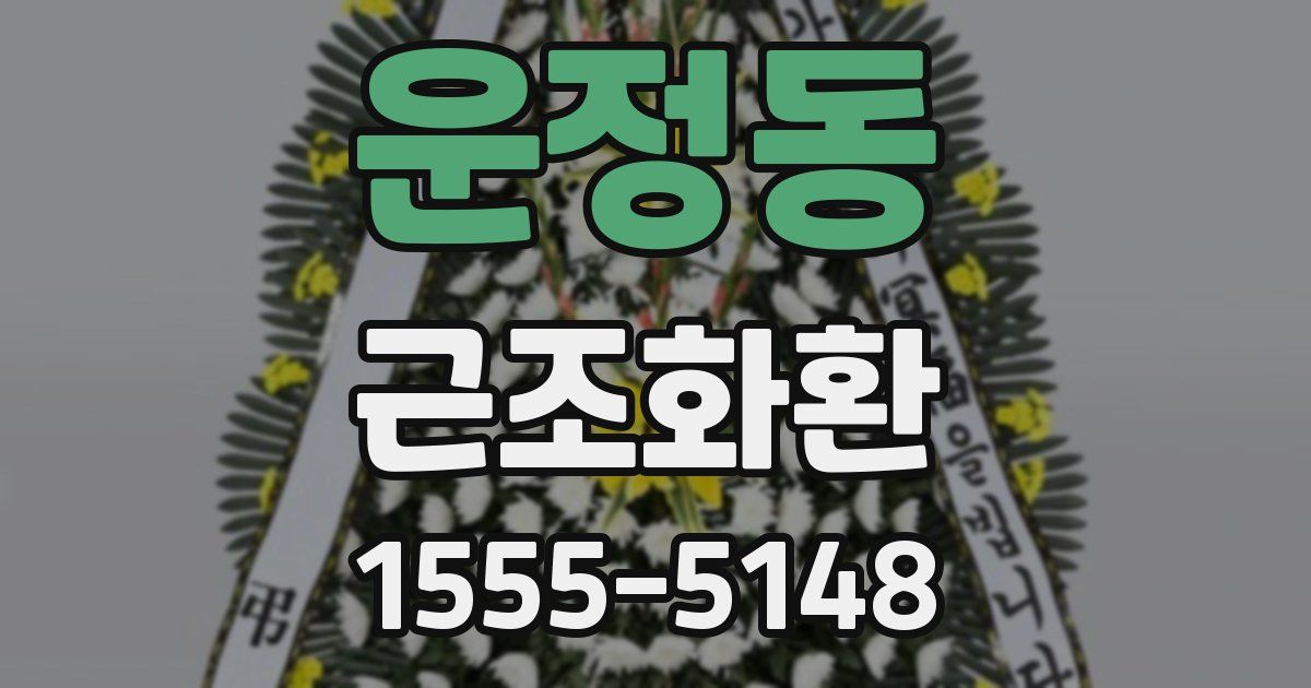 운정동 근조화환