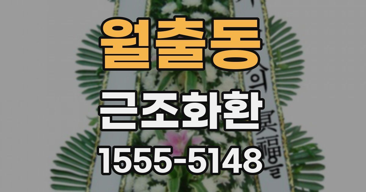 월출동 근조화환