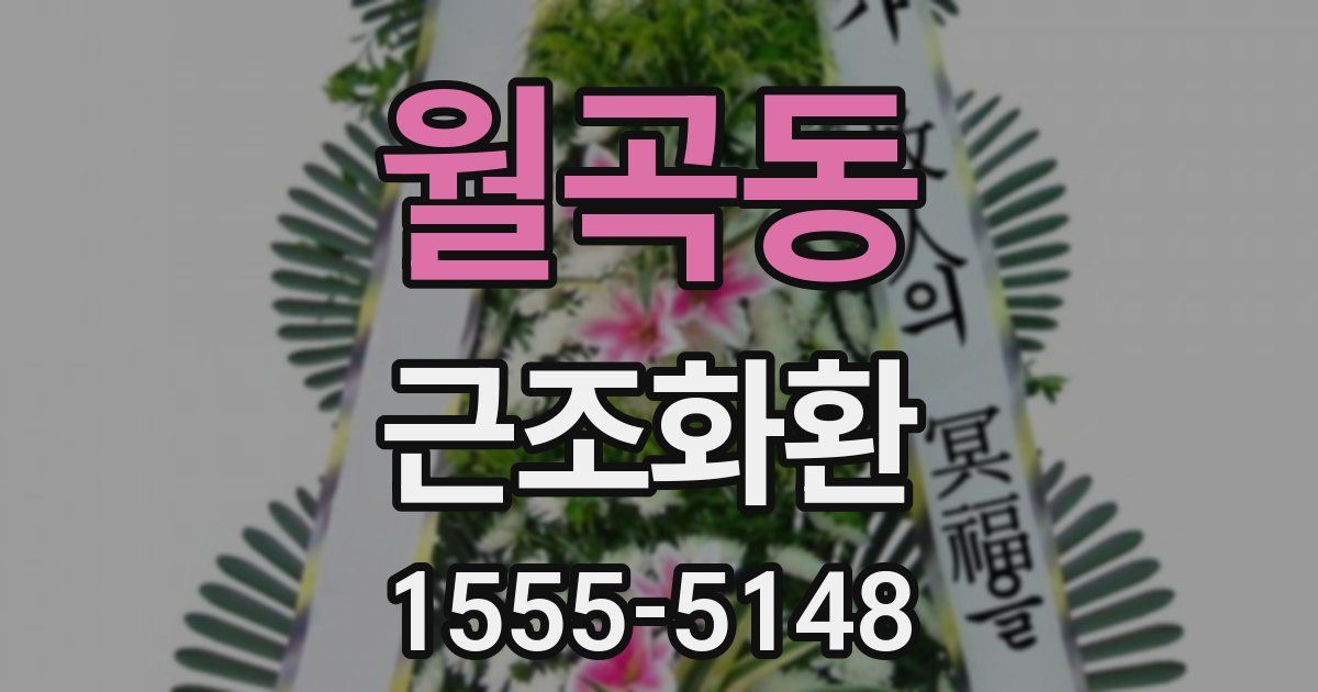 월곡동 근조화환