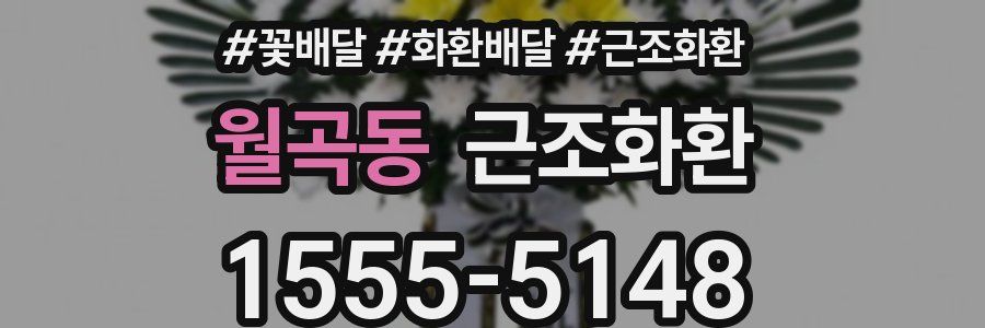 월곡동 근조화환
