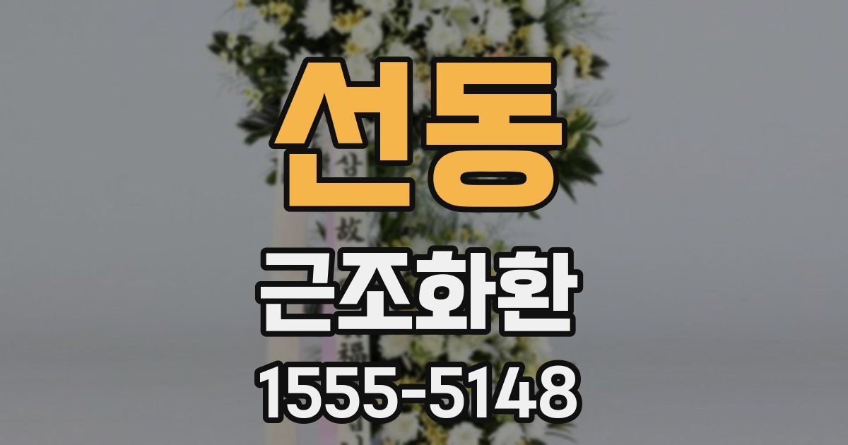 선동 근조화환