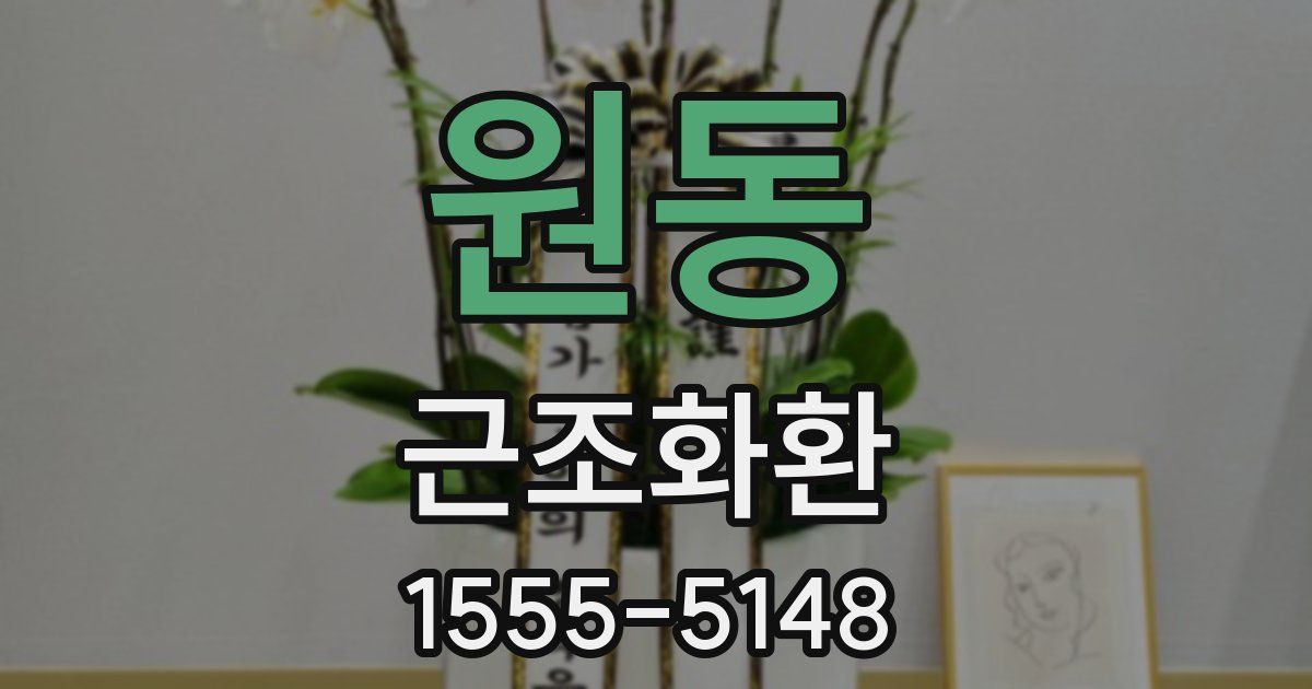 원동 근조화환