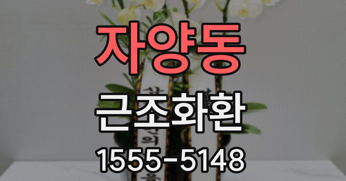 자양동 근조화환