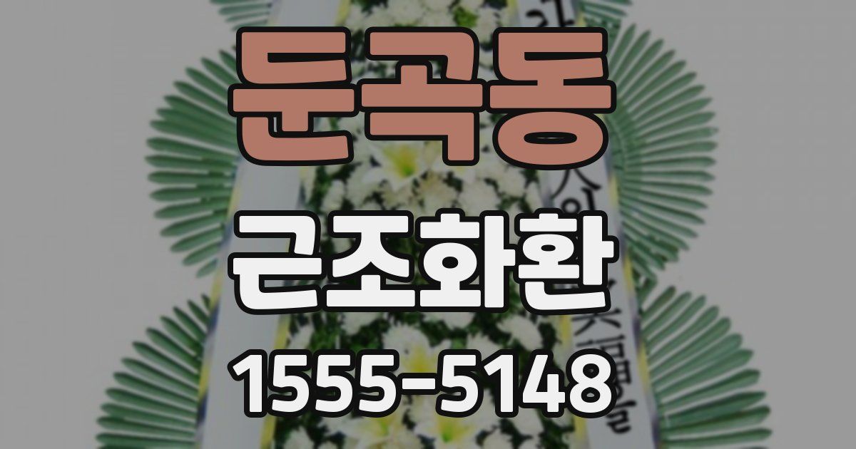 둔곡동 근조화환