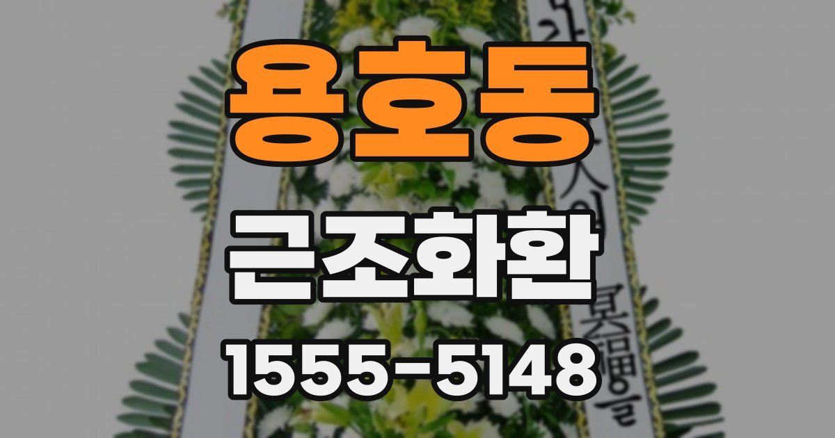 용호동 근조화환