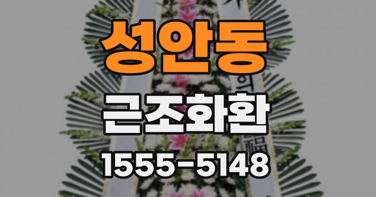 성안동 근조화환