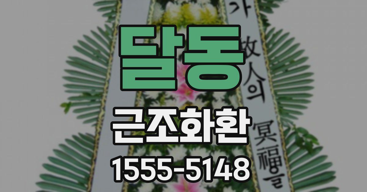 달동 근조화환