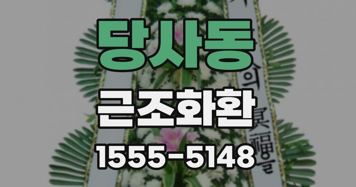 당사동 근조화환