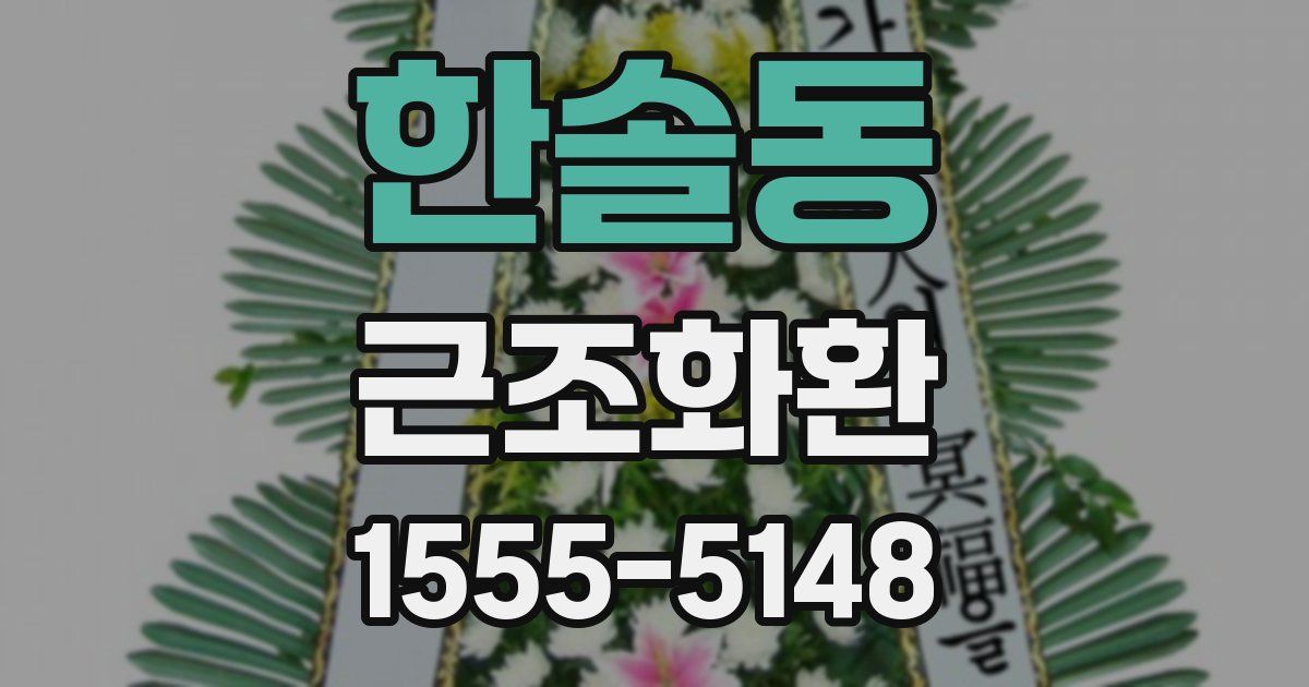 한솔동 근조화환