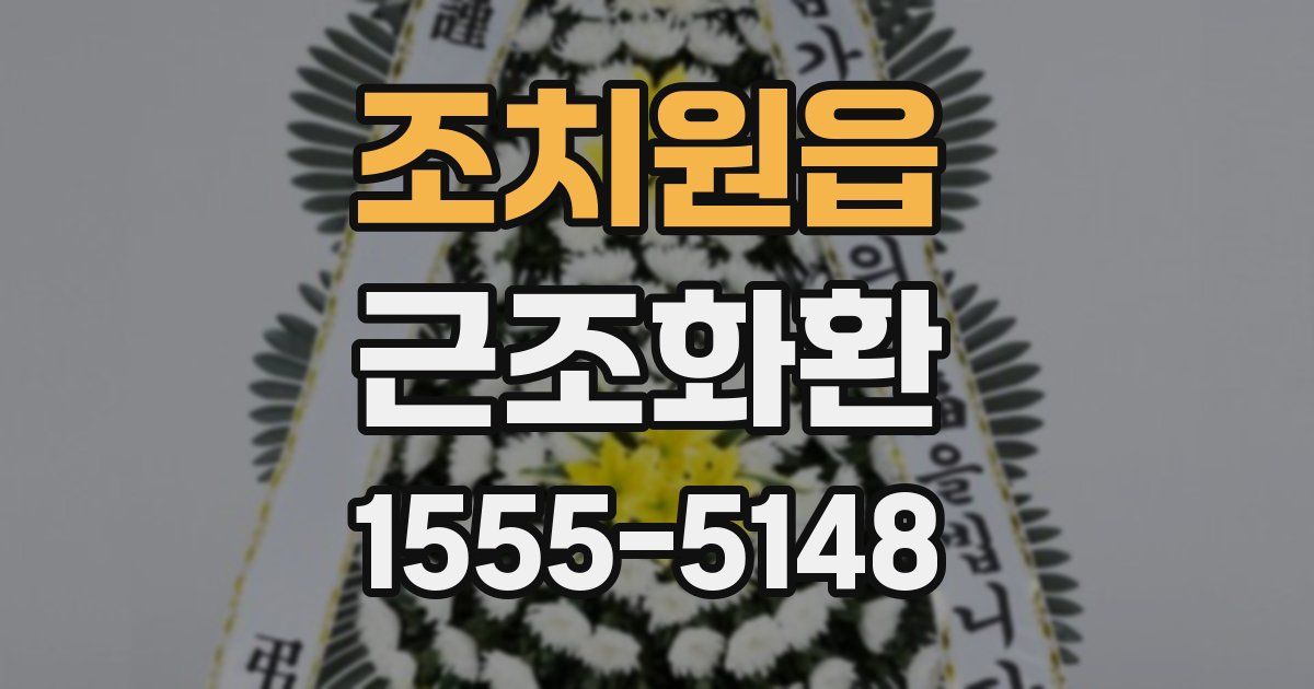 조치원읍 근조화환
