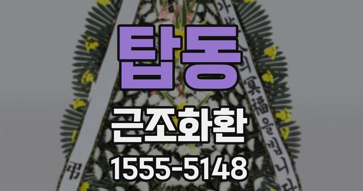 탑동 근조화환