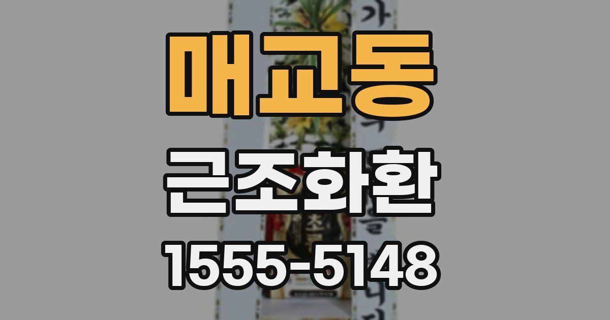 매교동 근조화환