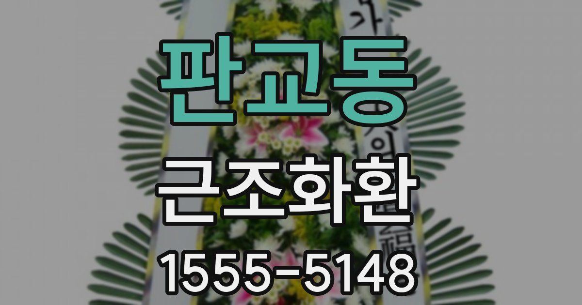 판교동 근조화환