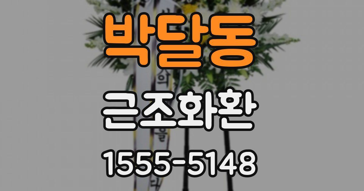 박달동 근조화환