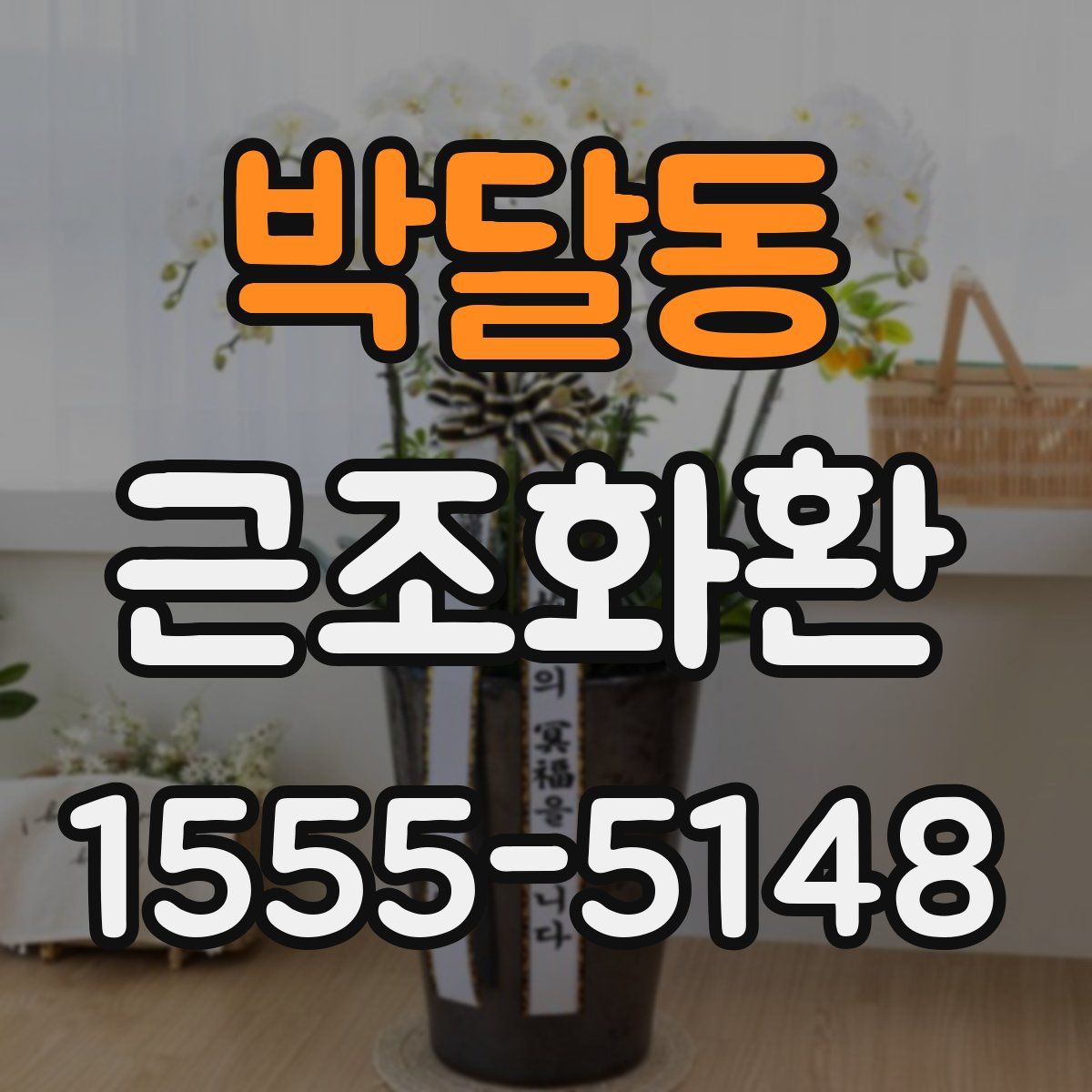 박달동 근조화환
