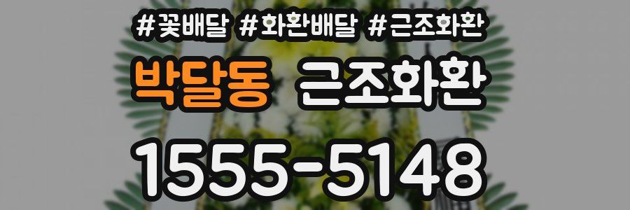 박달동 근조화환