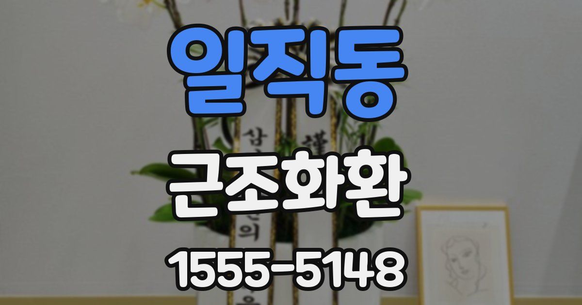 일직동 근조화환