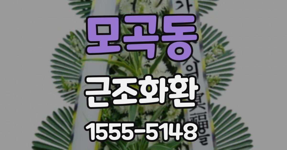 모곡동 근조화환
