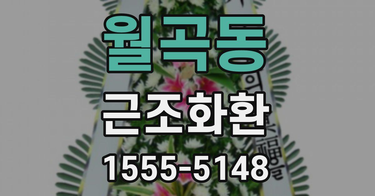 월곡동 근조화환