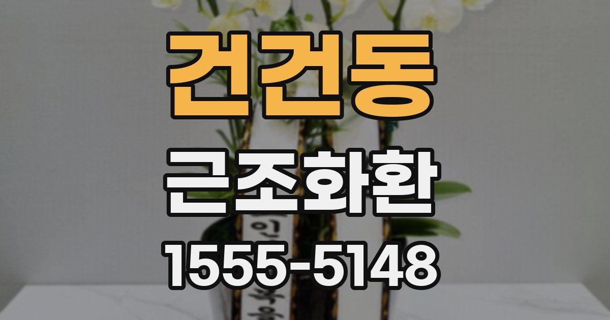 건건동 근조화환