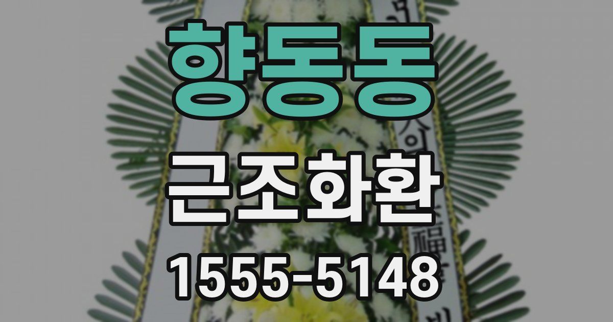 향동동 근조화환