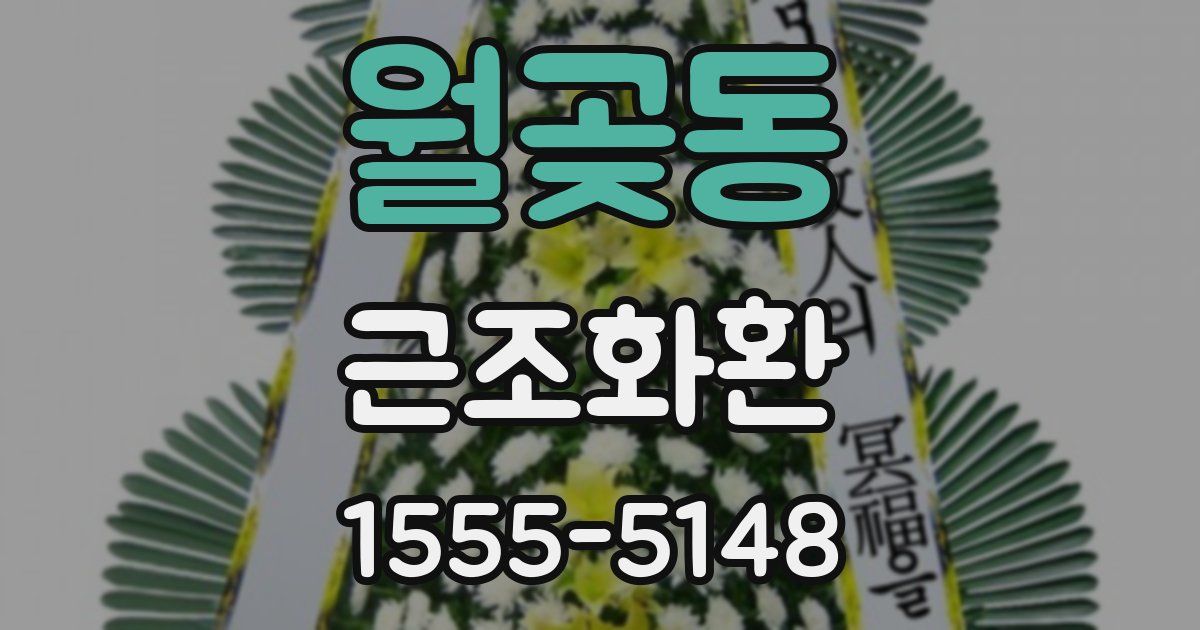 월곶동 근조화환