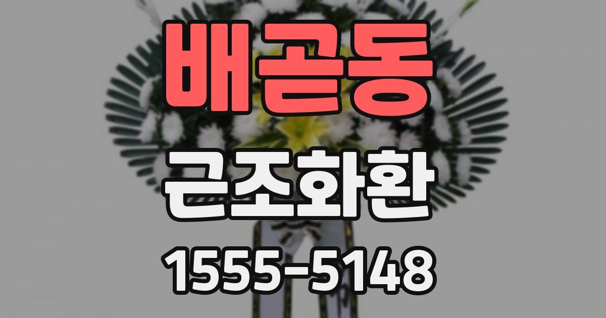배곧동 근조화환