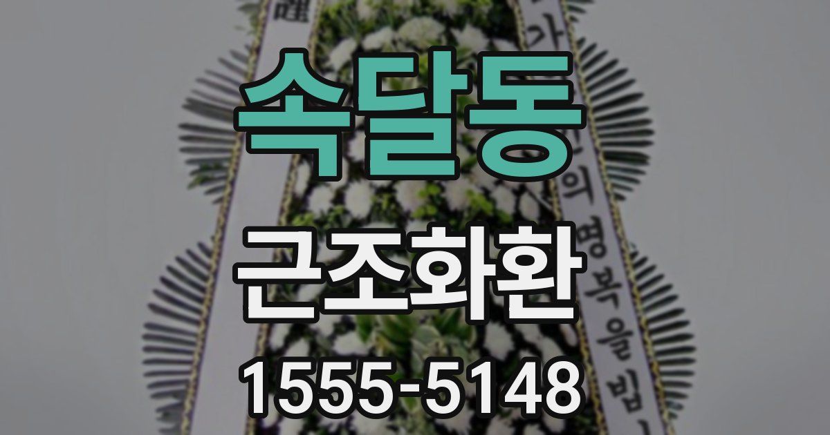 속달동 근조화환