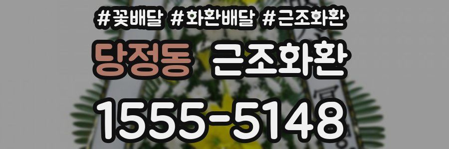 당정동 근조화환