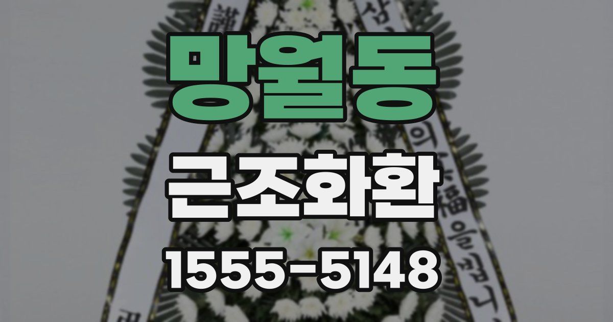 망월동 근조화환
