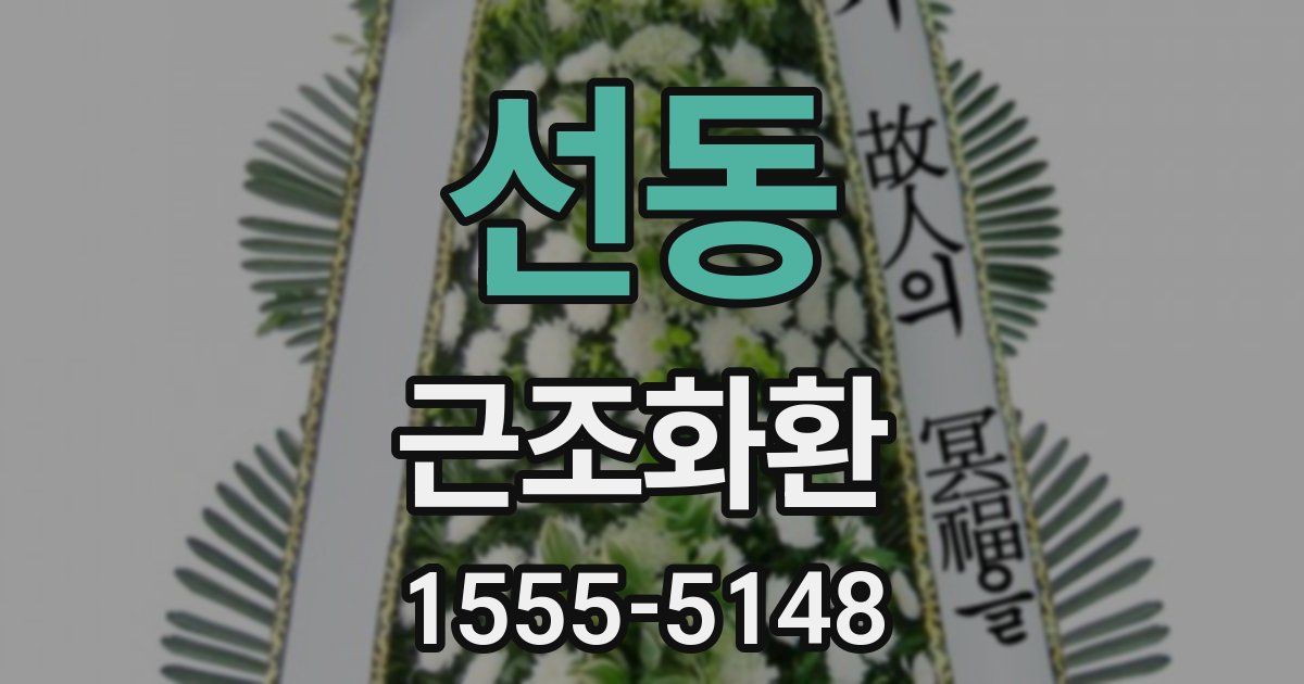 선동 근조화환