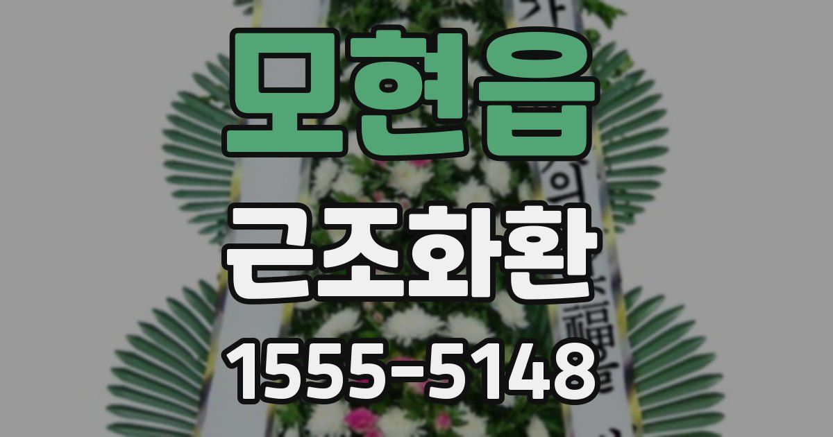 모현읍 근조화환