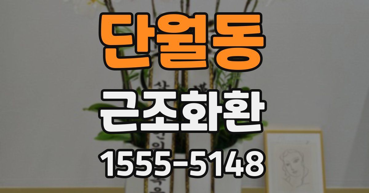 단월동 근조화환