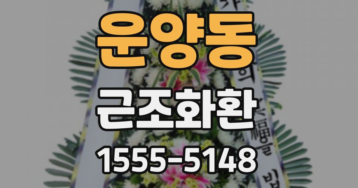 운양동 근조화환