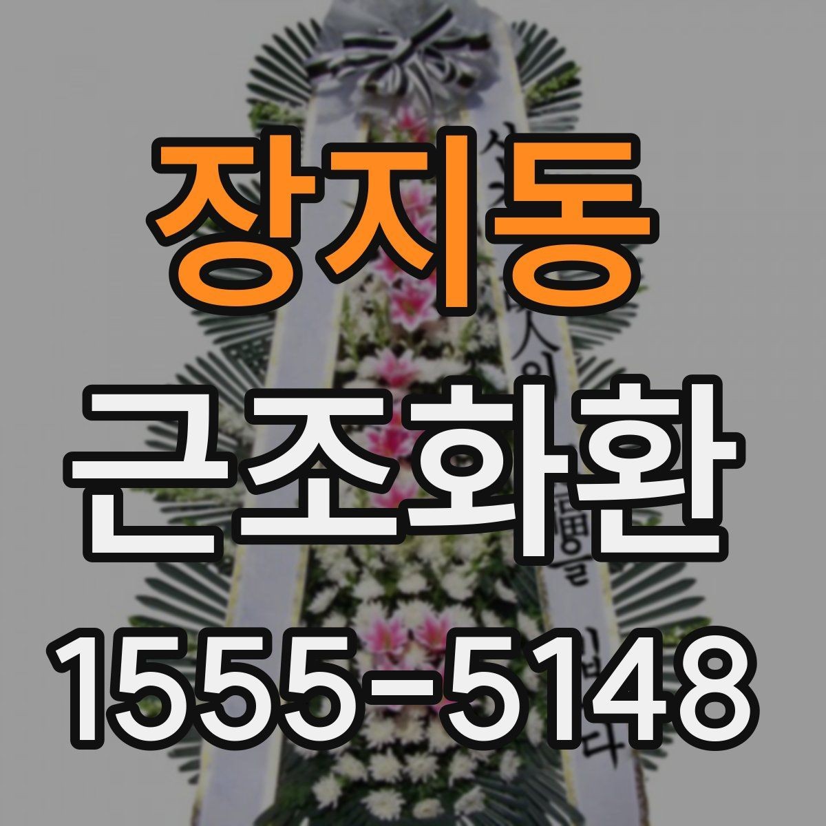 장지동 근조화환 예산과 품격 사이에서 균형 잡는 기준