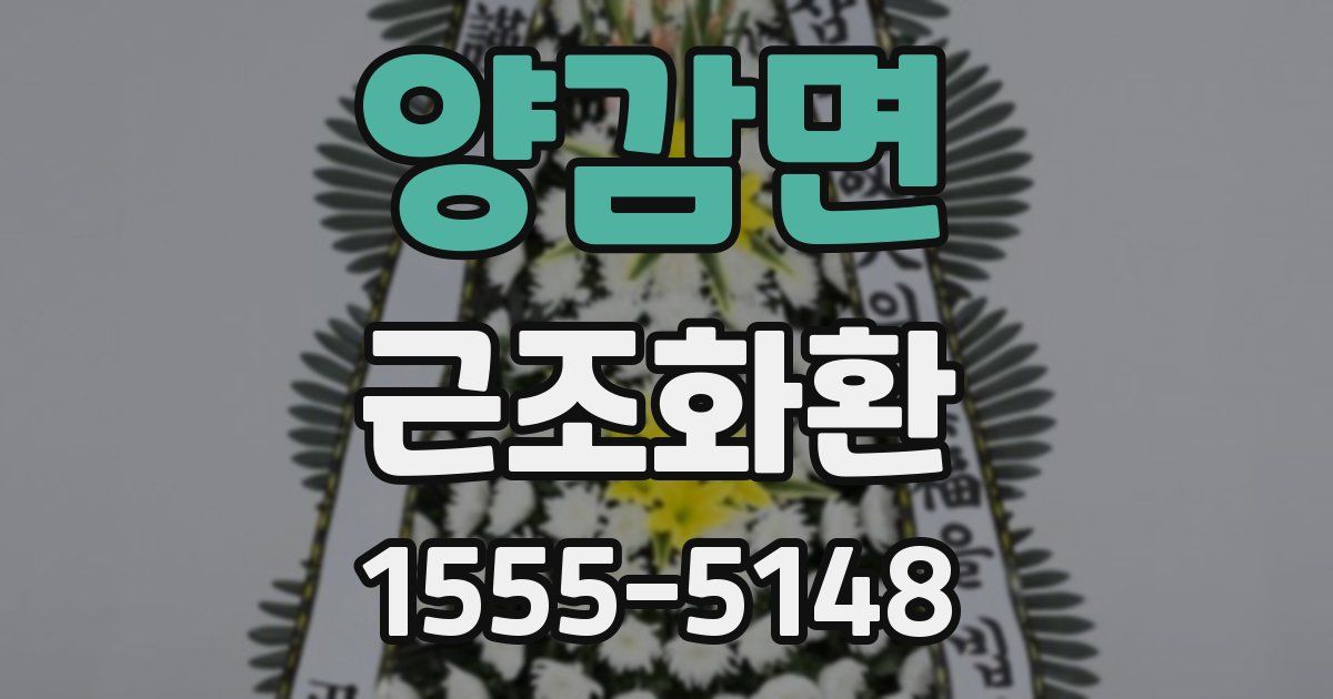 양감면 근조화환