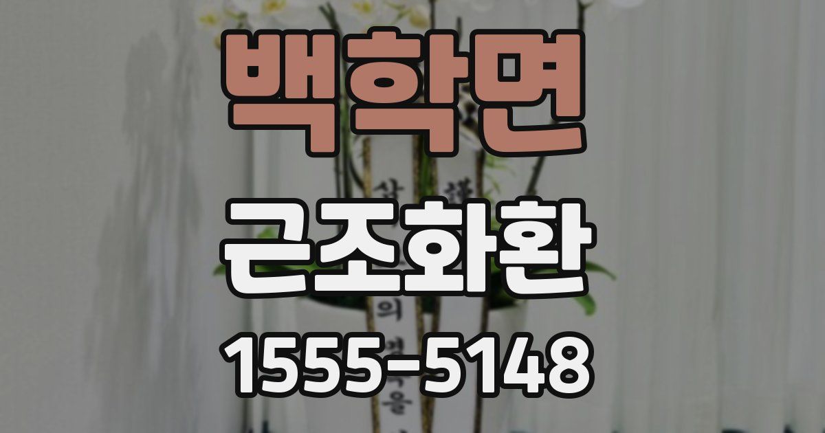백학면 근조화환