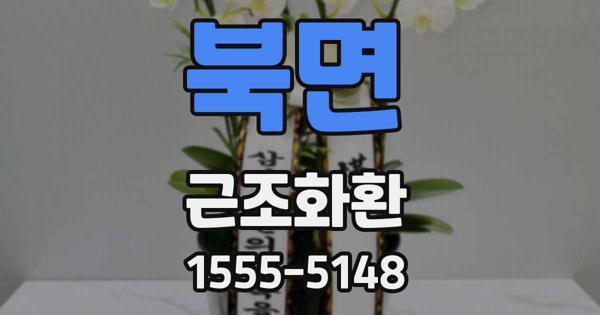 북면 근조화환