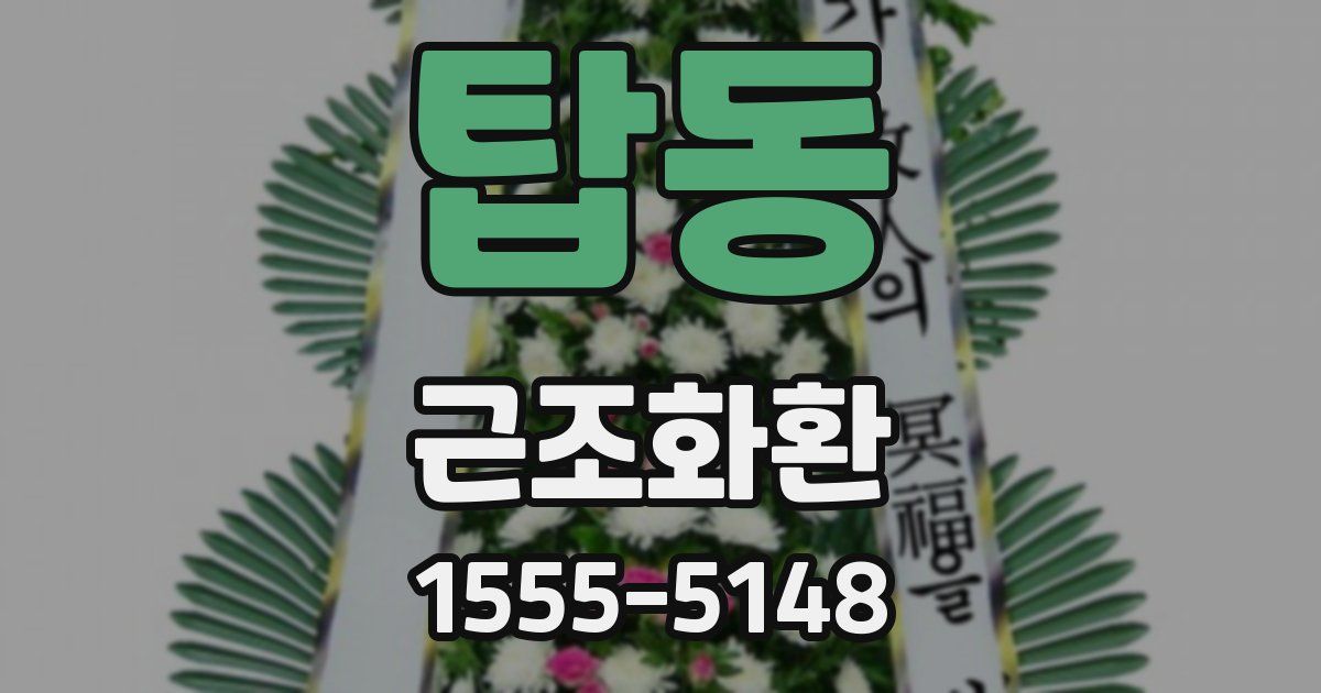 탑동 근조화환