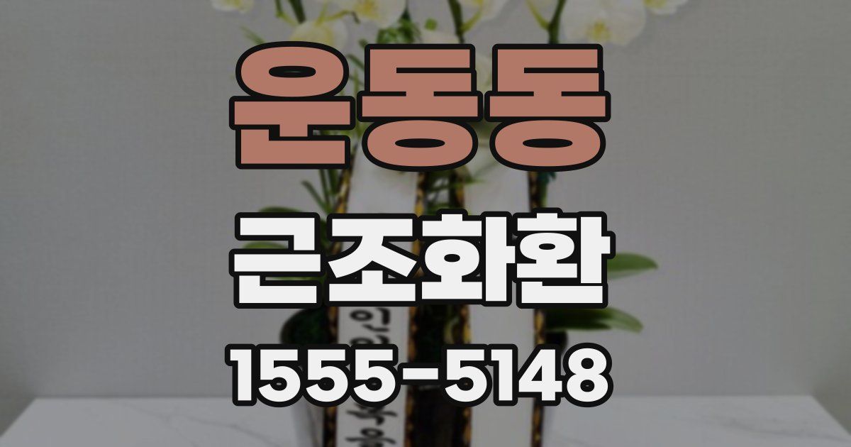 운동동 근조화환