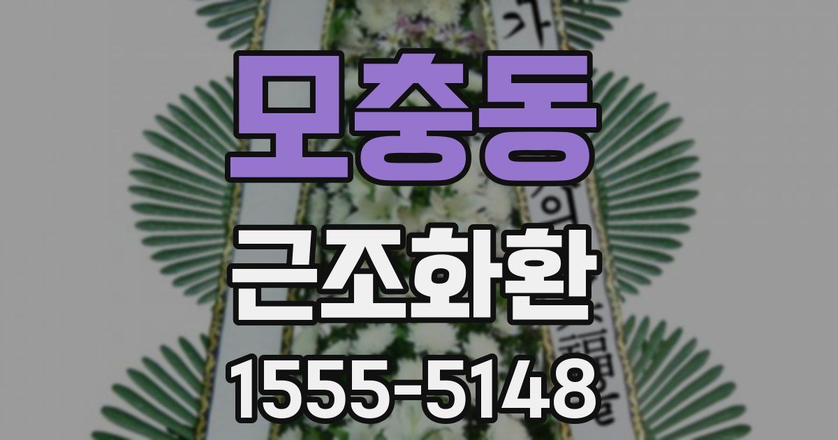 모충동 근조화환