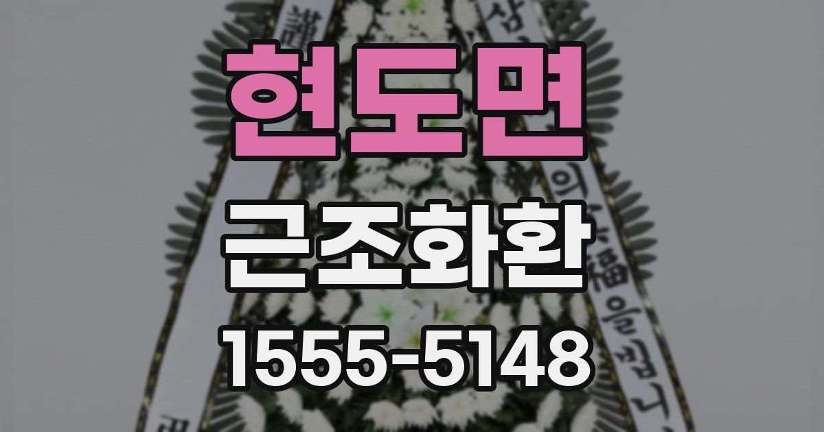 현도면 근조화환