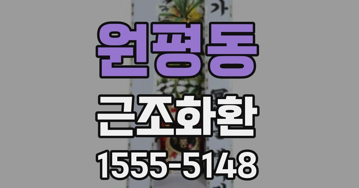 원평동 근조화환
