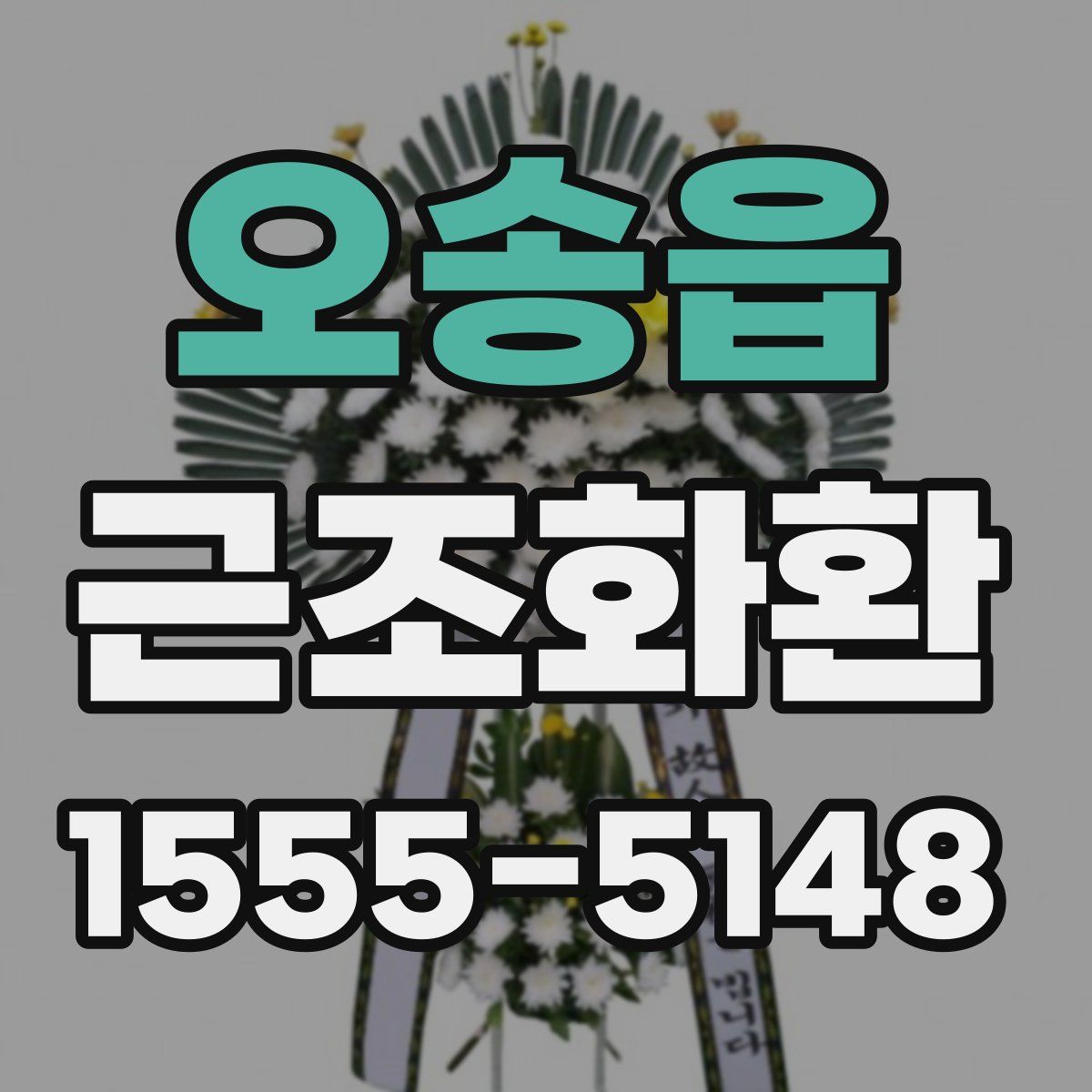 오송읍 근조화환