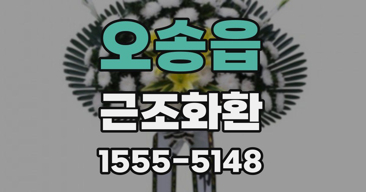 오송읍 근조화환