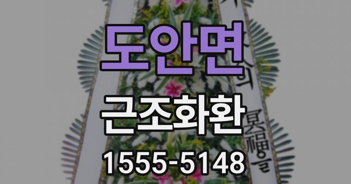 도안면 근조화환