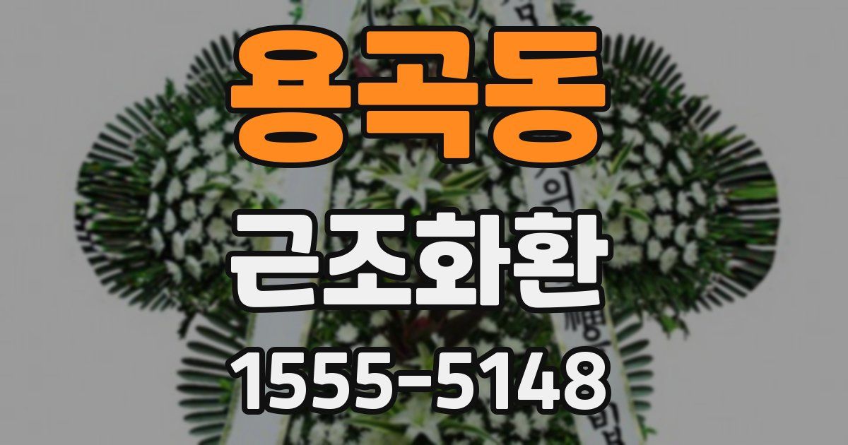 용곡동 근조화환