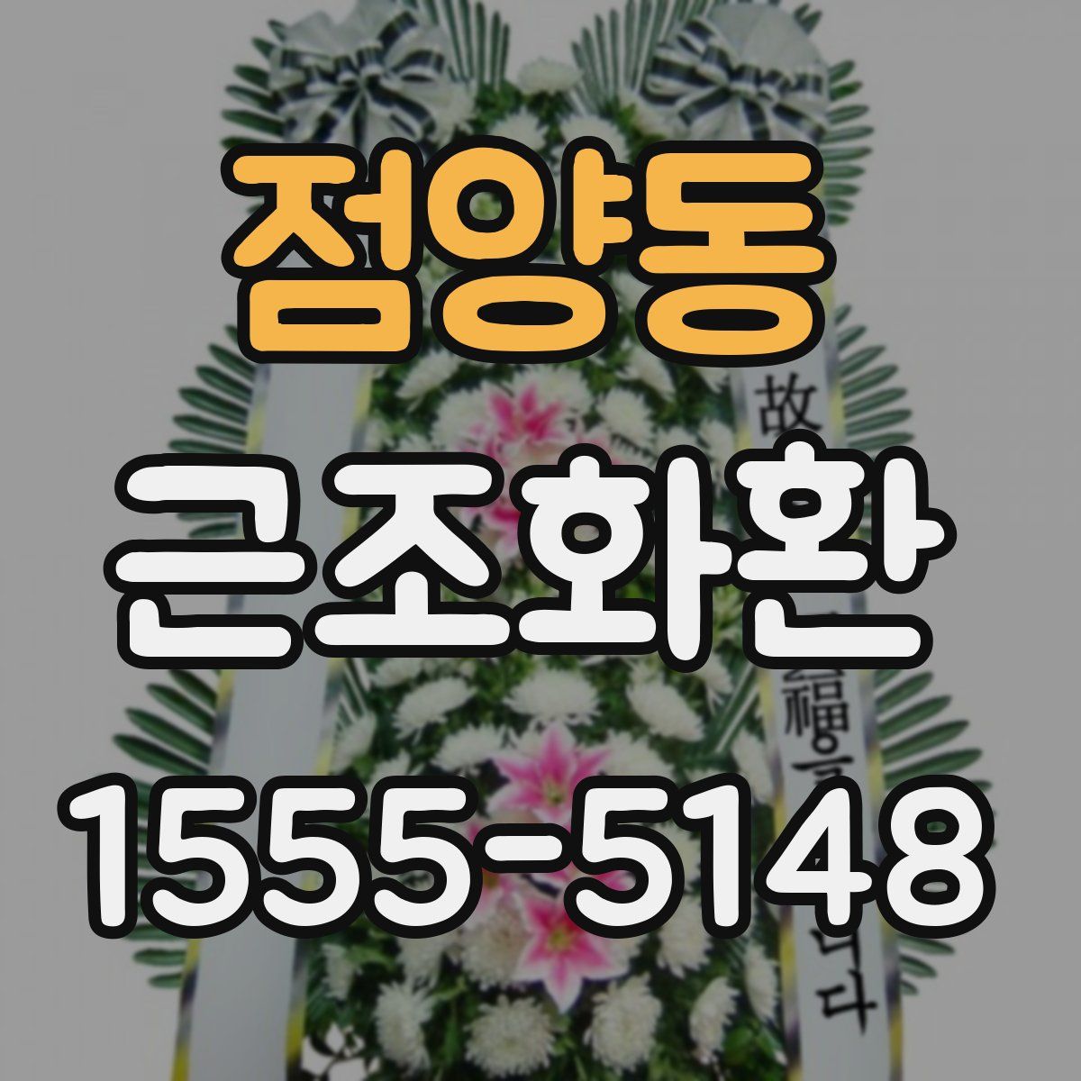 점양동 근조화환