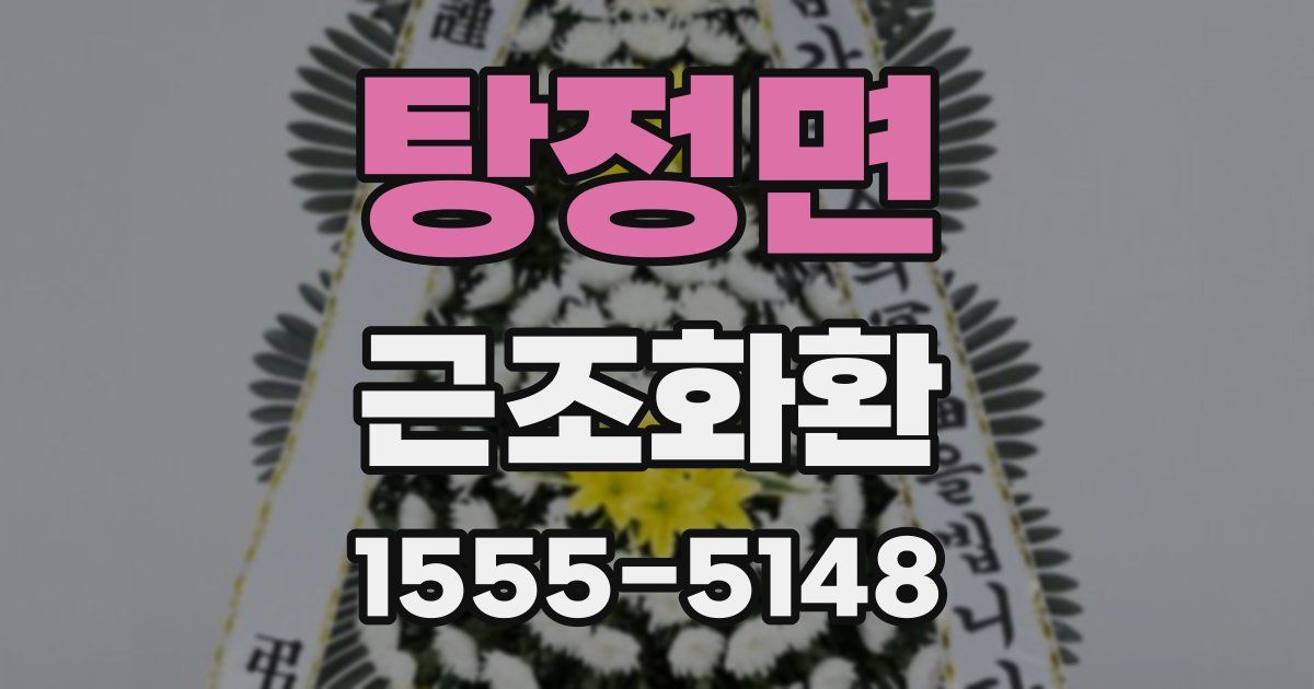 탕정면 근조화환